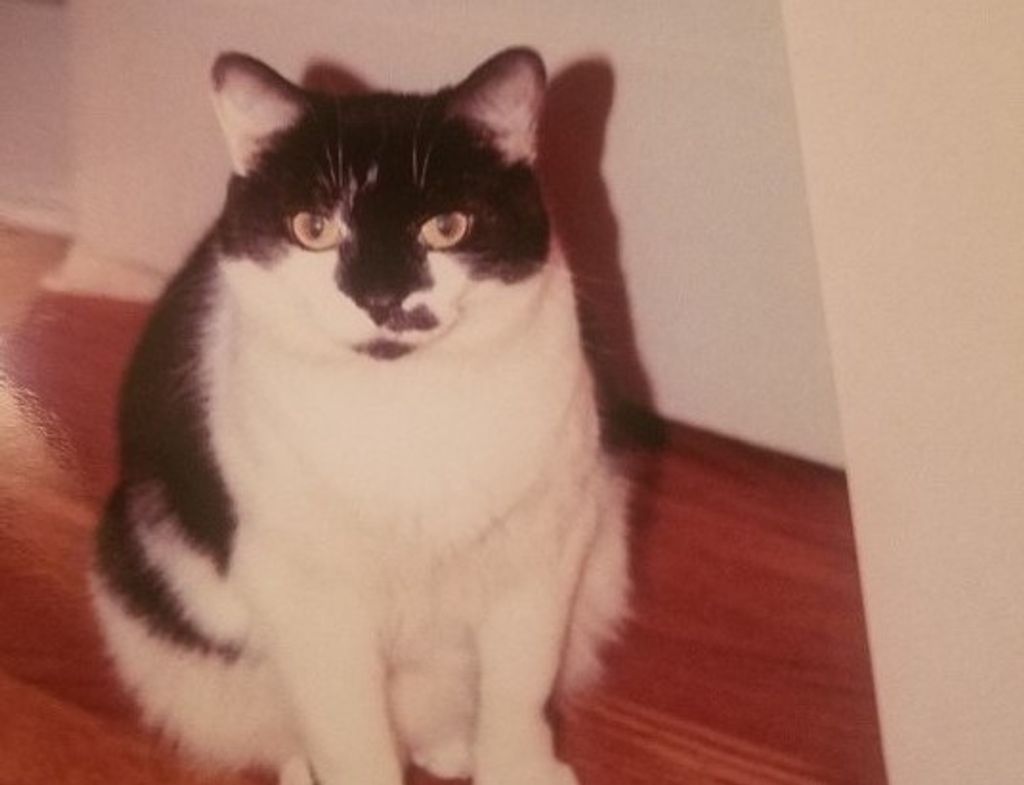 Danny "Oompie" Lynn Bond-Brickey