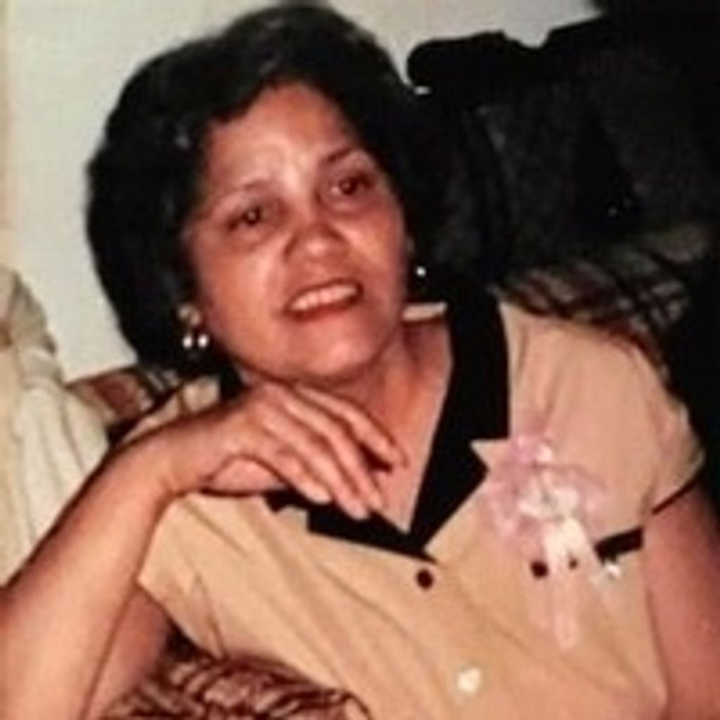 Elba I. Ayala