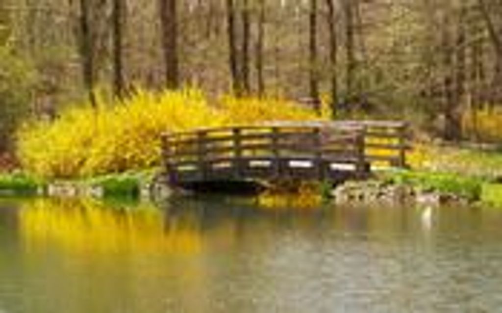 Marjorie (Baker) Briggs Profile Photo