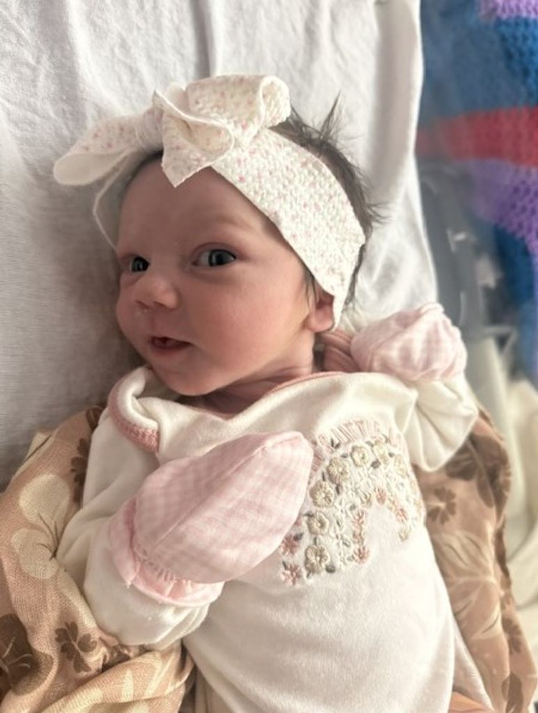 Charlotte Shane Brooks