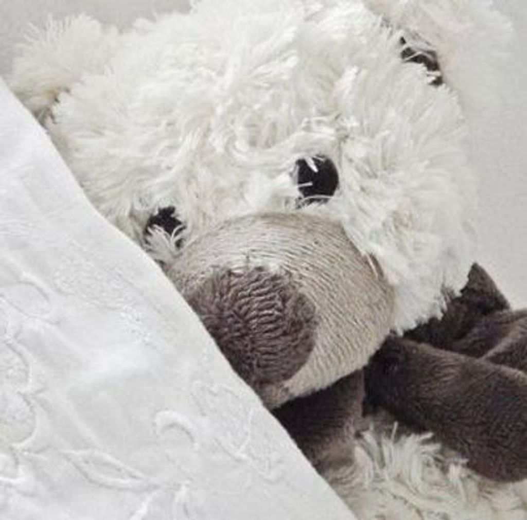 Kambrie And Kinsley Fero