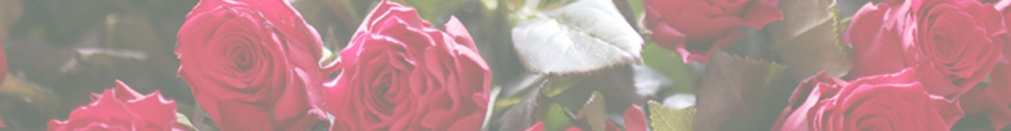 Cover photo for Evelyn Margaret Varner's Obituary