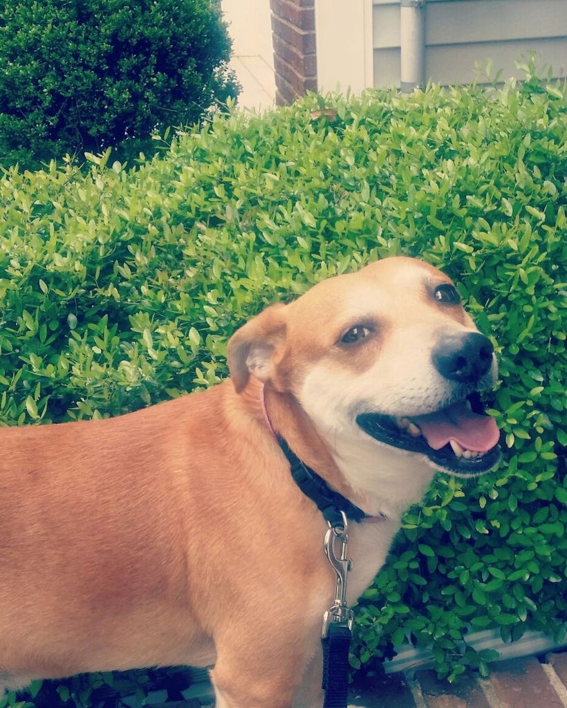 Thriller Best Profile Photo