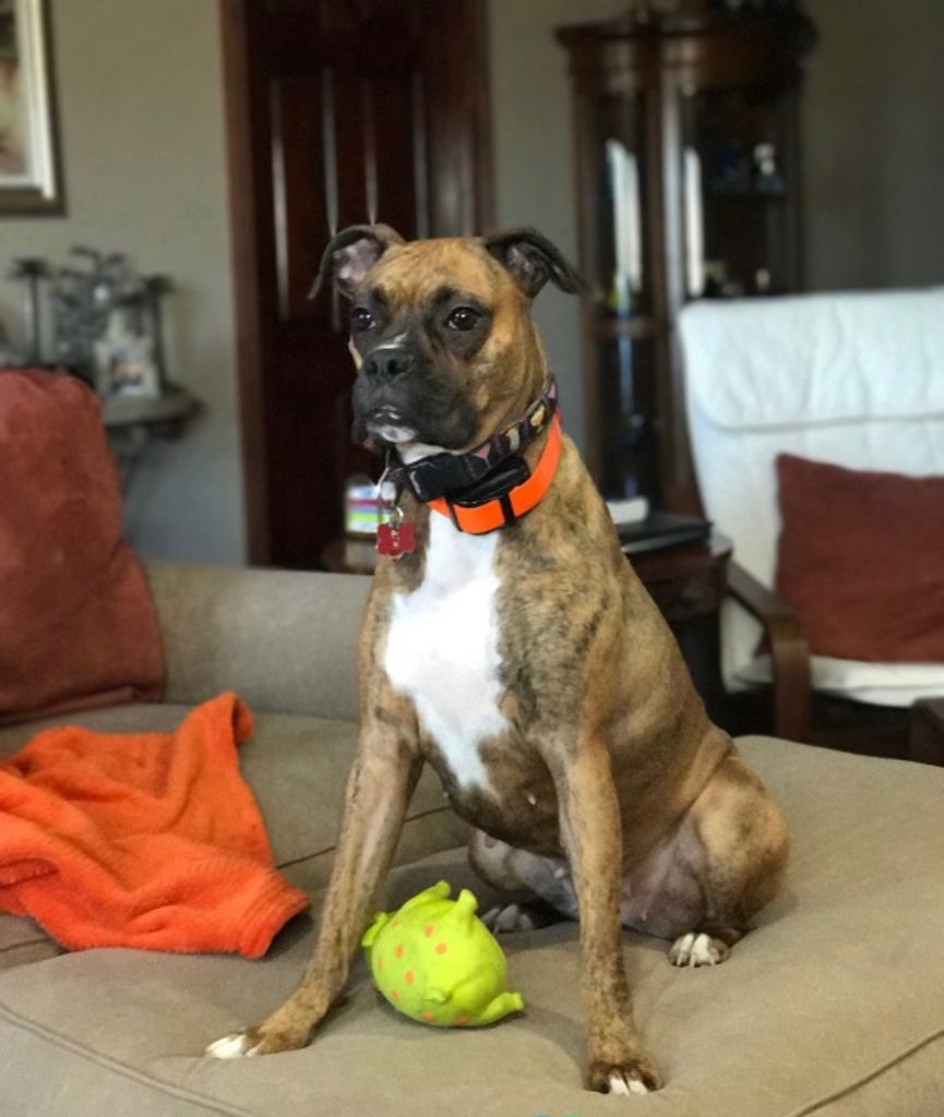 Sidney Deaton Profile Photo