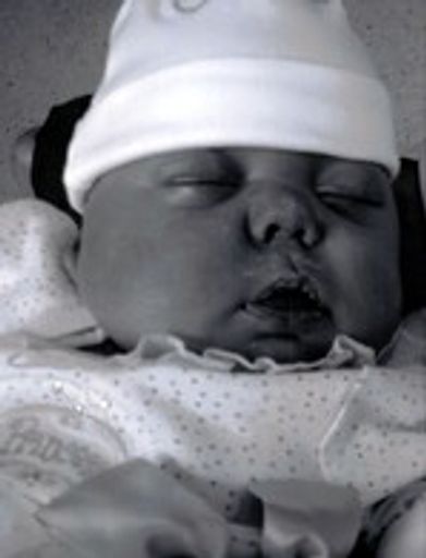 Alexis  Hope Hamilton Profile Photo