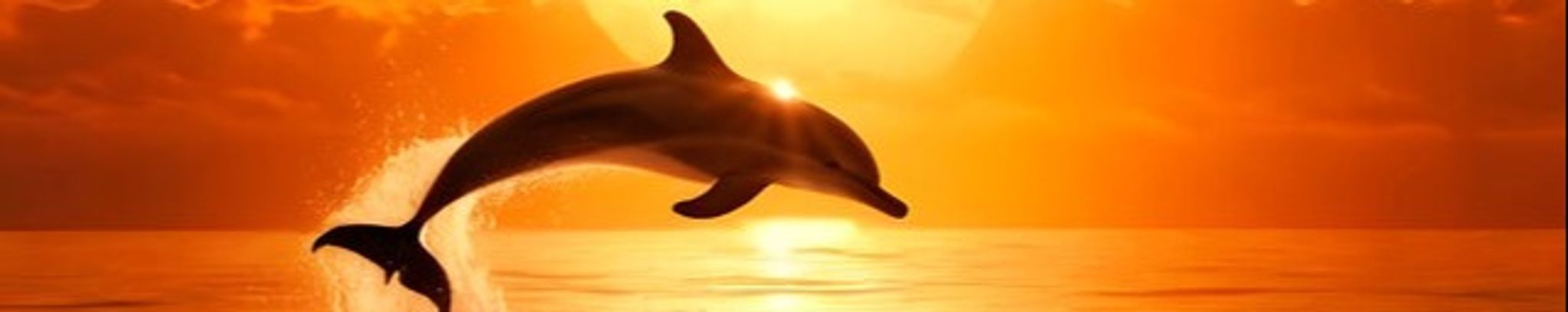 Cover for Rebecca Lynn Adkins's Obituary