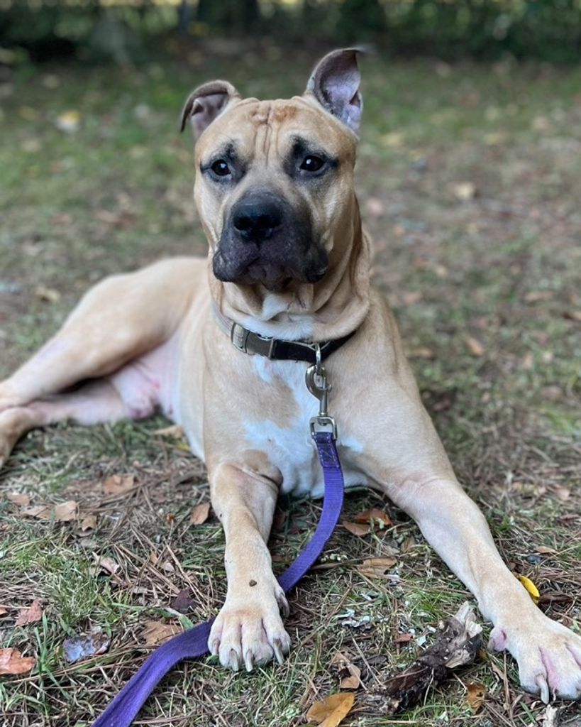 Bastion “Bubba” Ryan Profile Photo