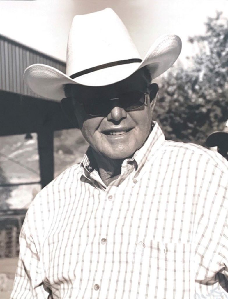 Neal K Arave