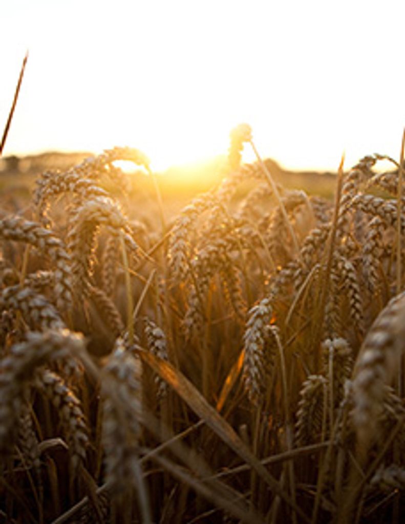 George R. Hall, Jr. Profile Photo
