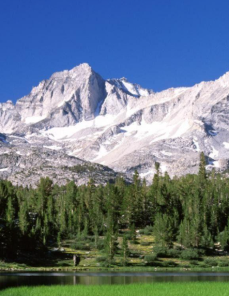 Michael Earl Mattingly