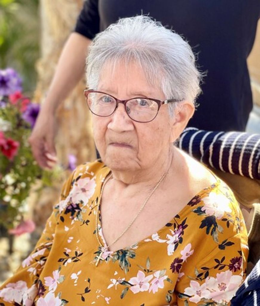 Dolores Torres Profile Photo