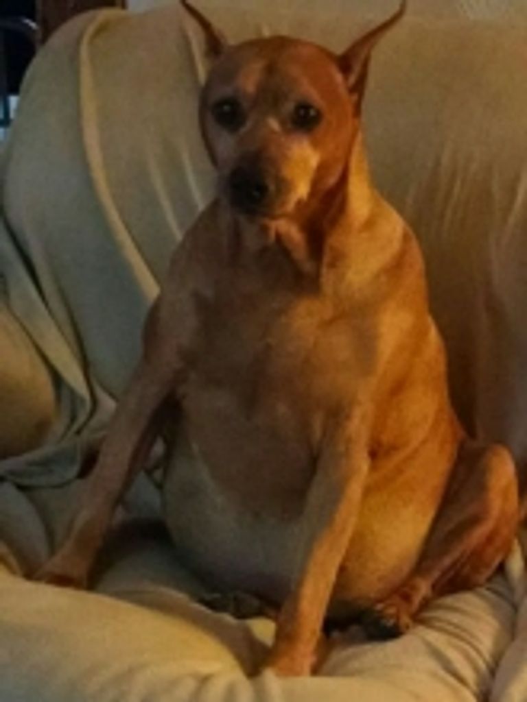 Bandit Beachum Profile Photo