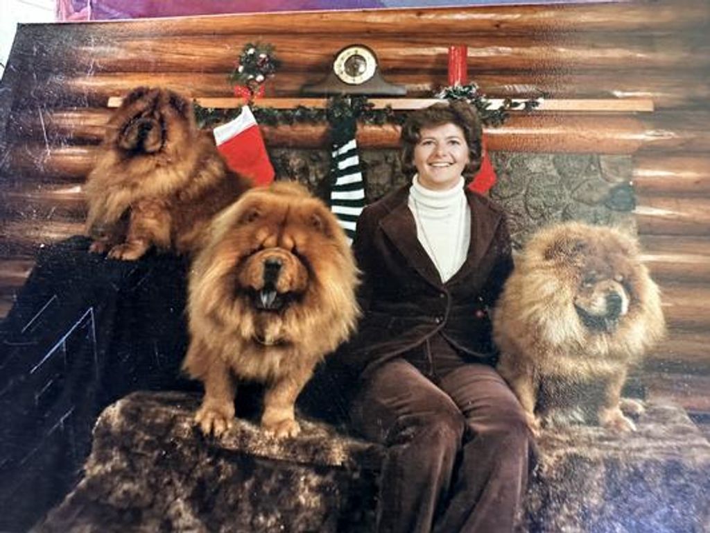 Gloria J. Walker Shippy