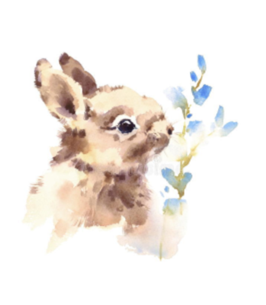 Brenda A. Cech Profile Photo