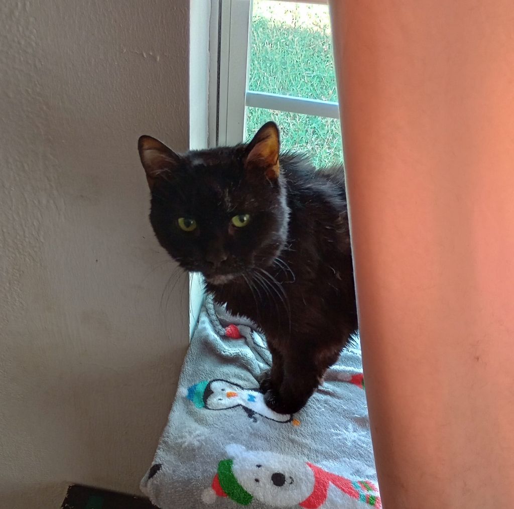 Bubby Basham Profile Photo