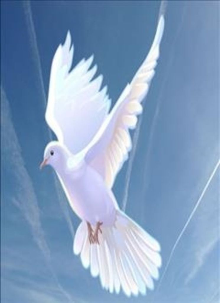 Vicky Lavern Fewell Profile Photo