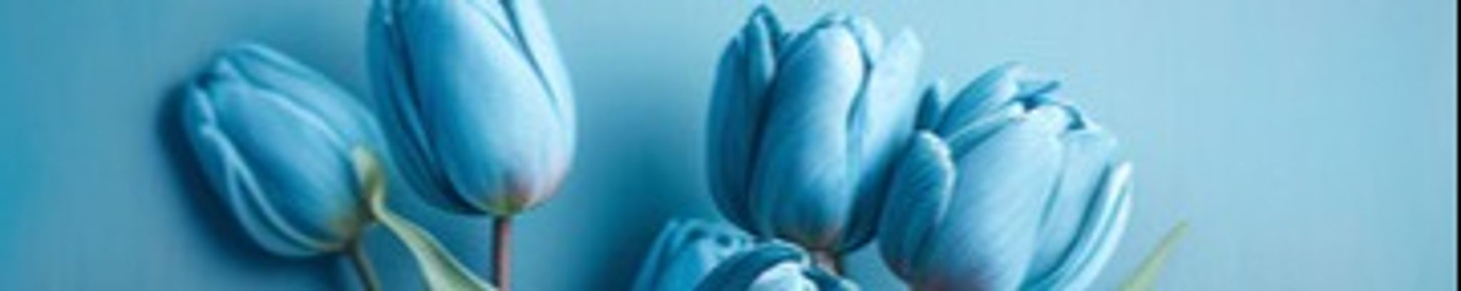 Cover photo for Shirley Rae Sayles's Obituary