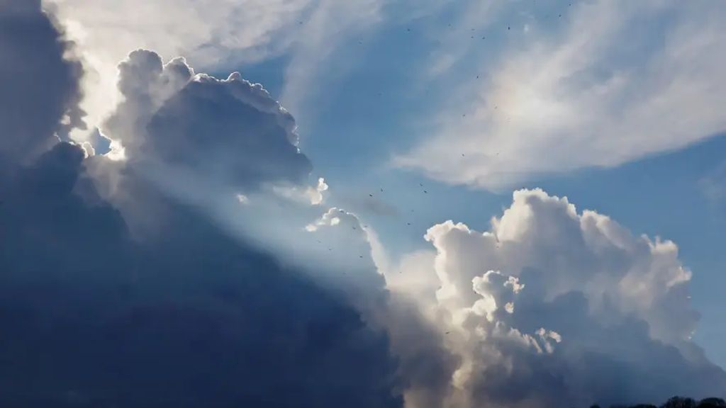 Cover photo for Marty Weaver's Obituary