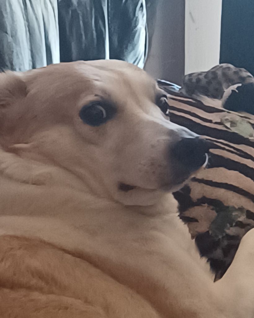 Lady Profile Photo