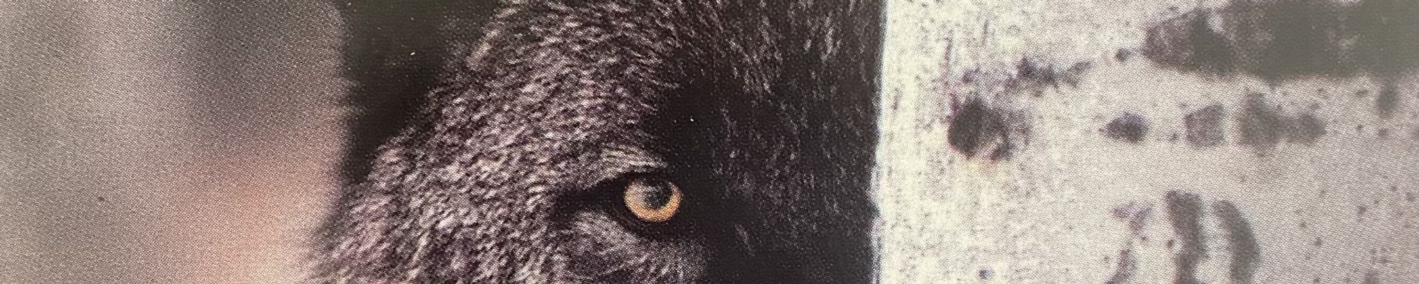 Cover for Philip Joseph Sonier's Obituary