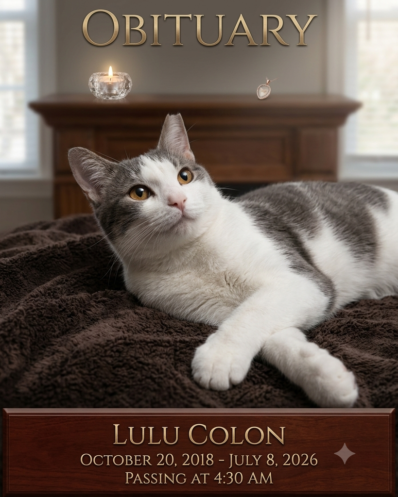 Lulu Profile Photo