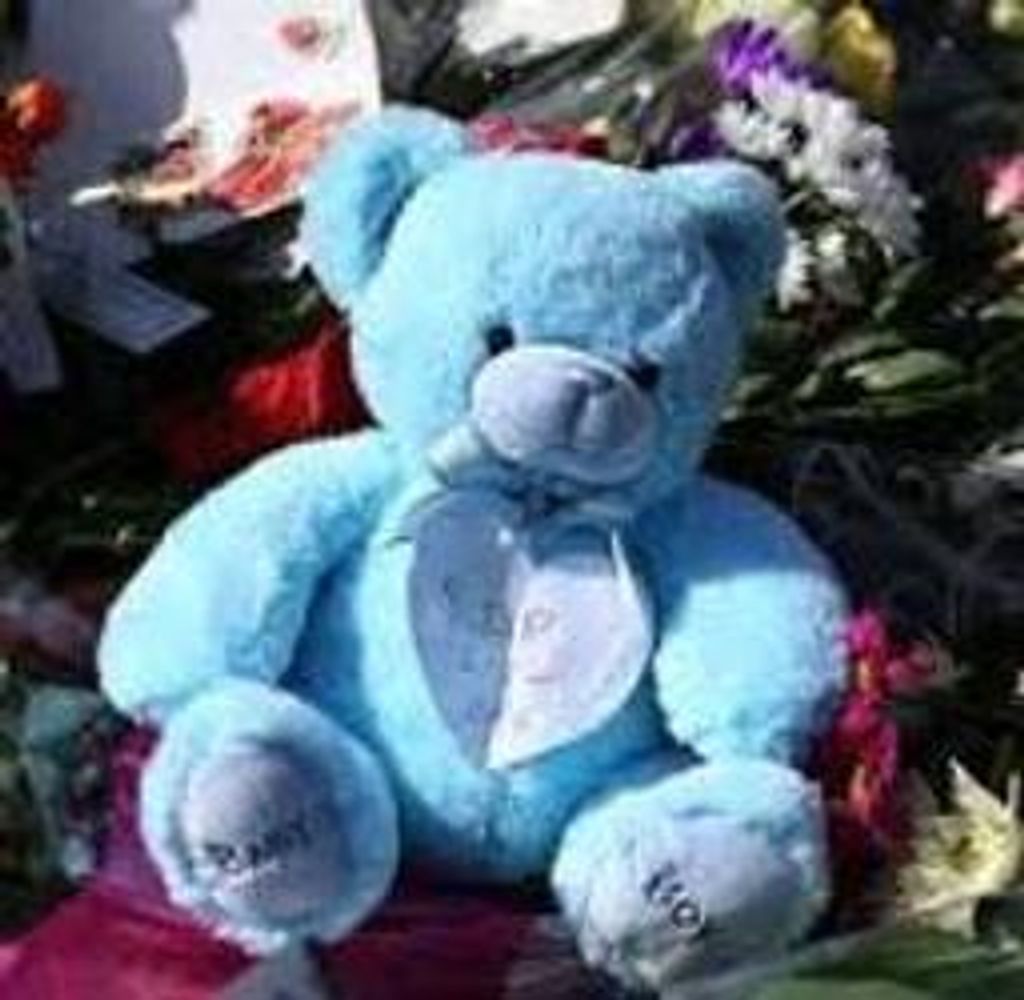 David Joe Polk Profile Photo