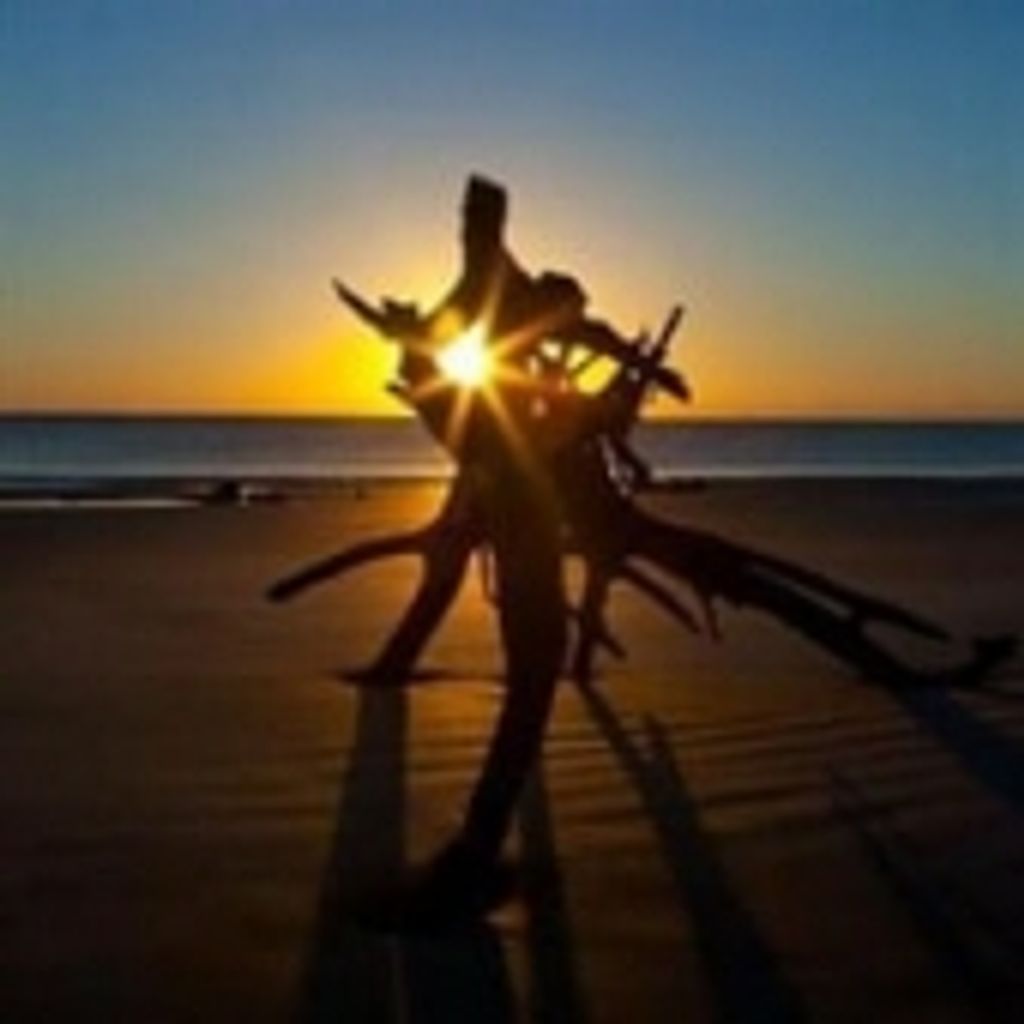 John Alfred Frey Jr.