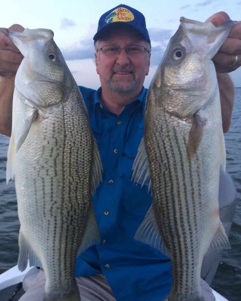 Stephen Hoyt Moore Profile Photo