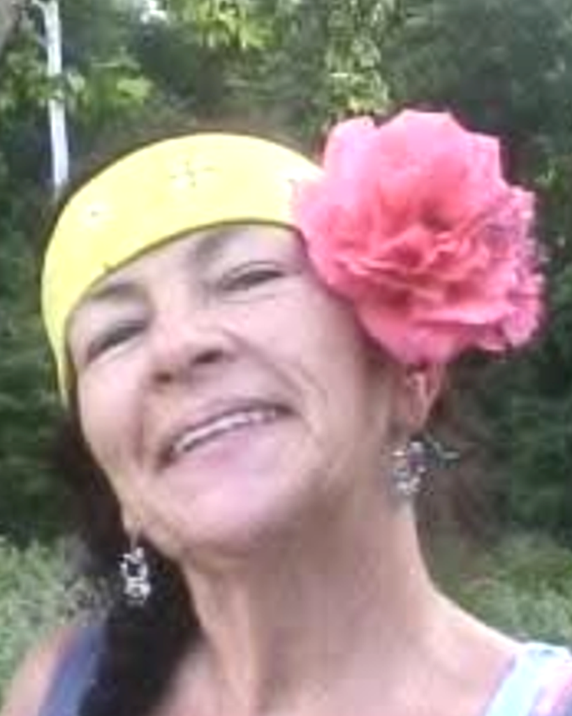 Paula Jane Hoyle Vanicek Profile Photo