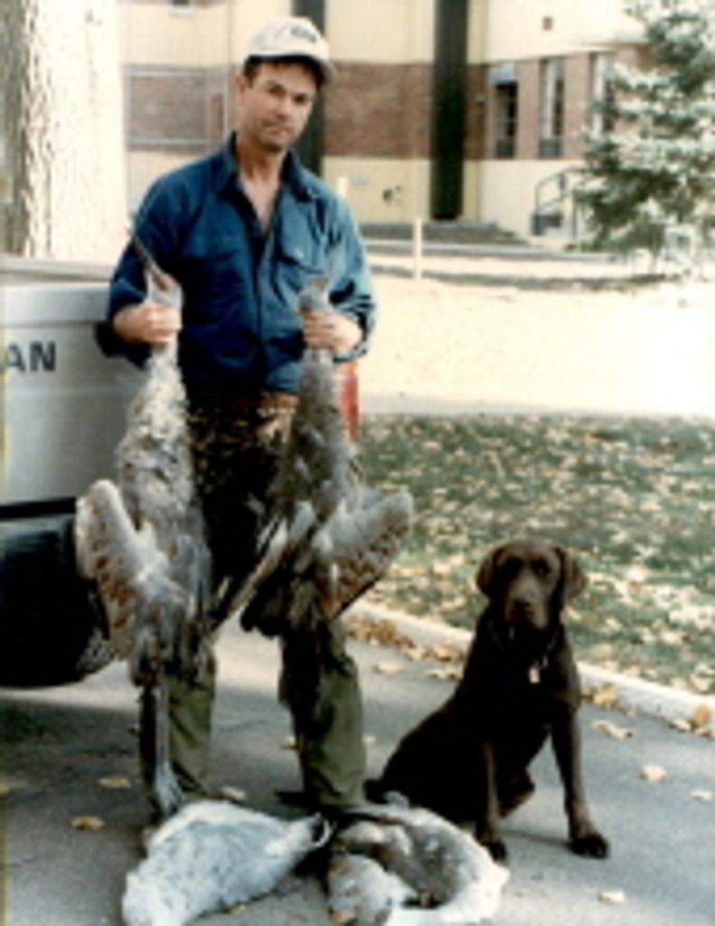 Terry Haines