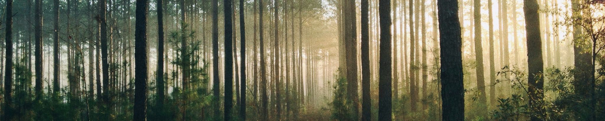 Cover for Brandon Lee Childers's Obituary