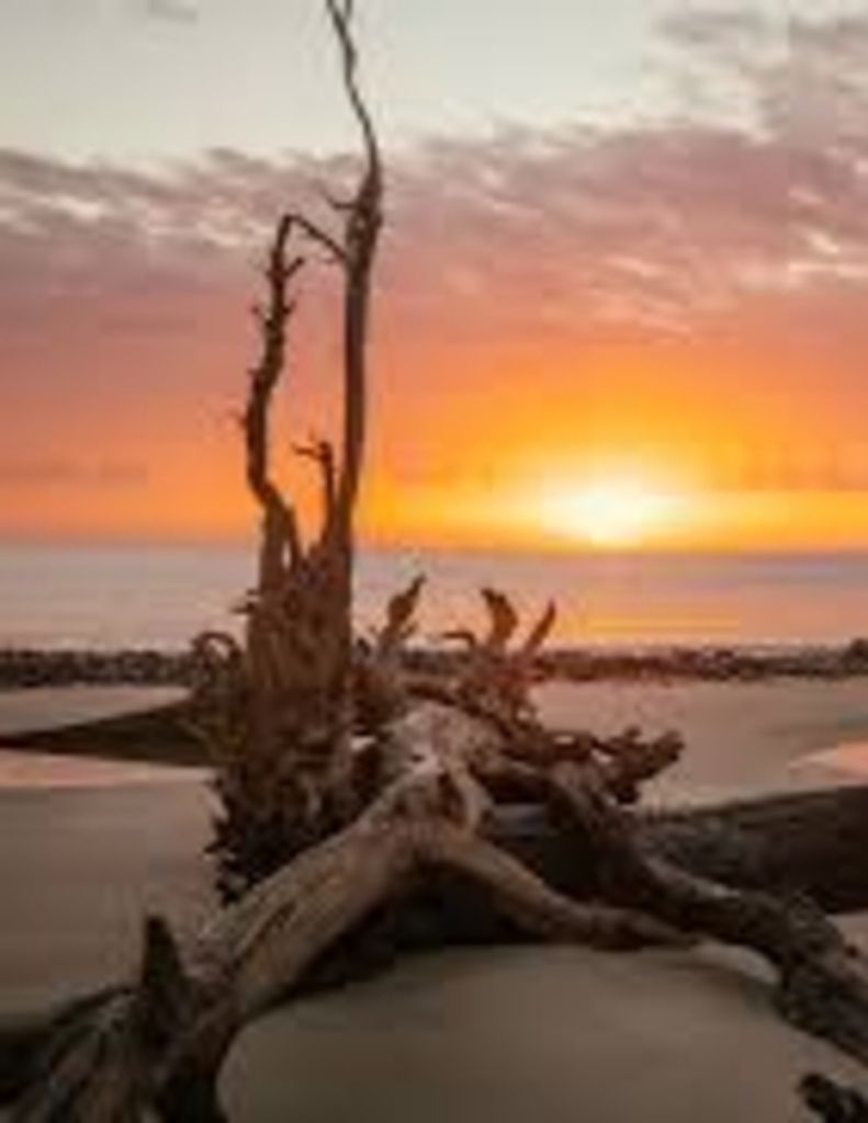 Dennis Keim Brumbach