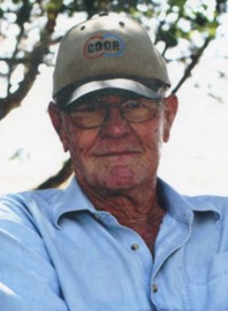 Vernon Haldeman