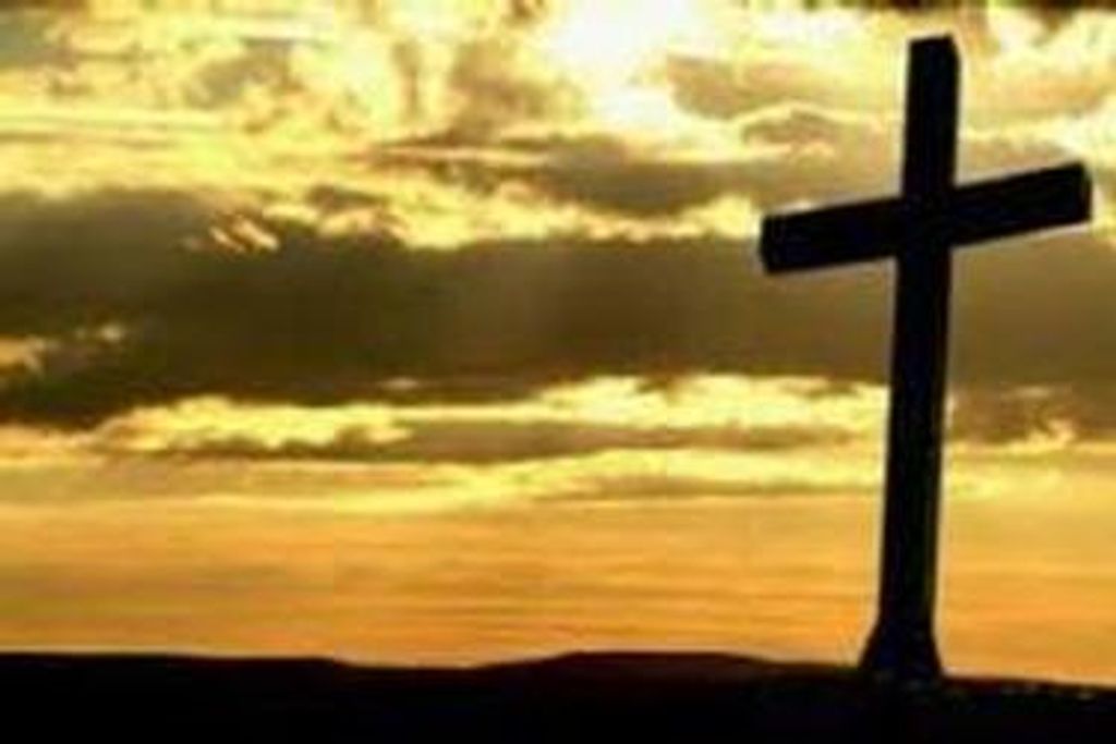 Evan Sean Junker Profile Photo