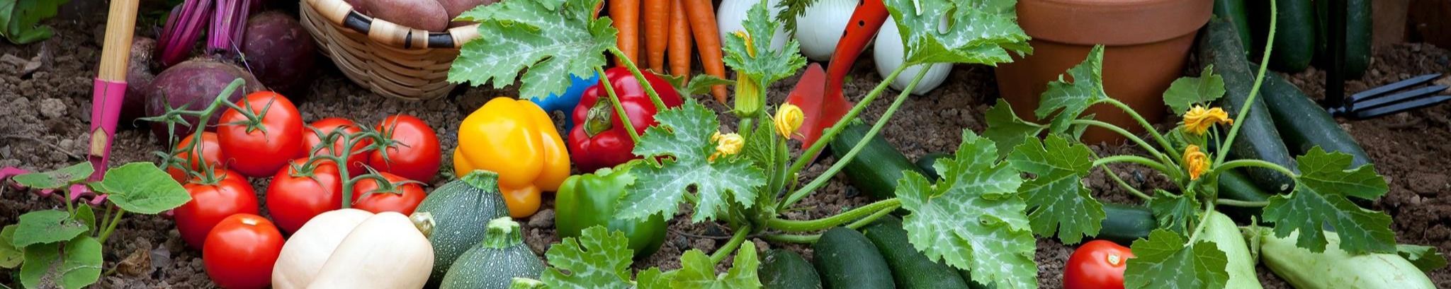 Cover for Robert 'Bob' F. Bratz's Obituary