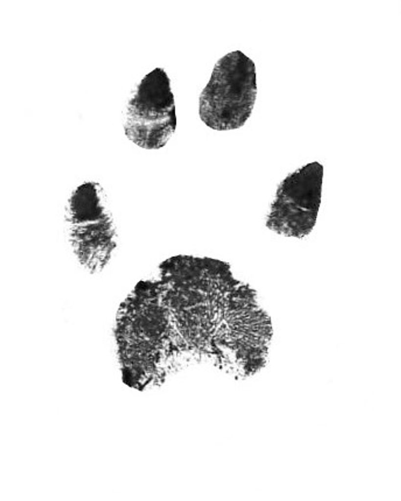 Moey Lowder Profile Photo