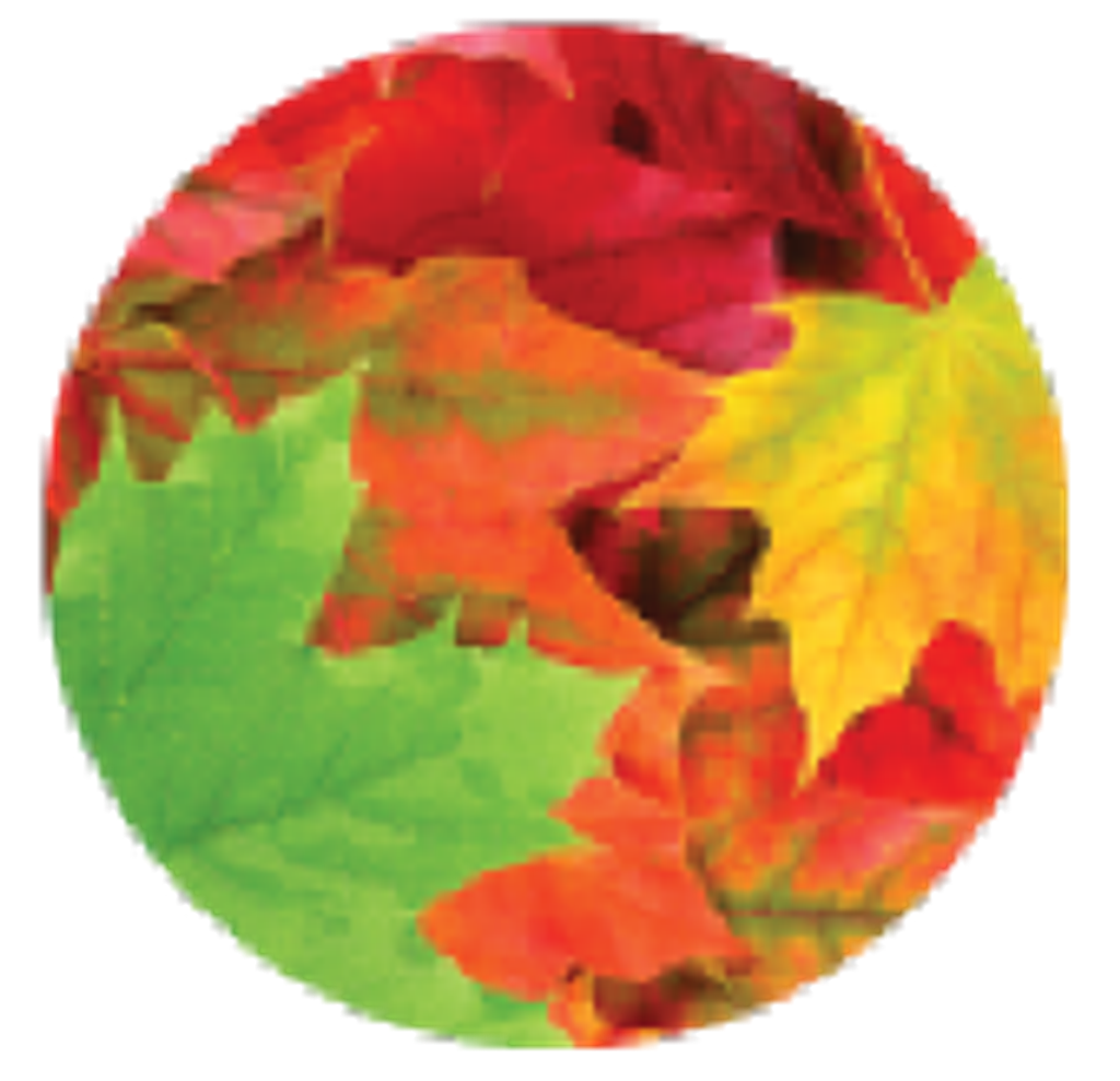 Bettye Lou Mrs. Smith-Moore