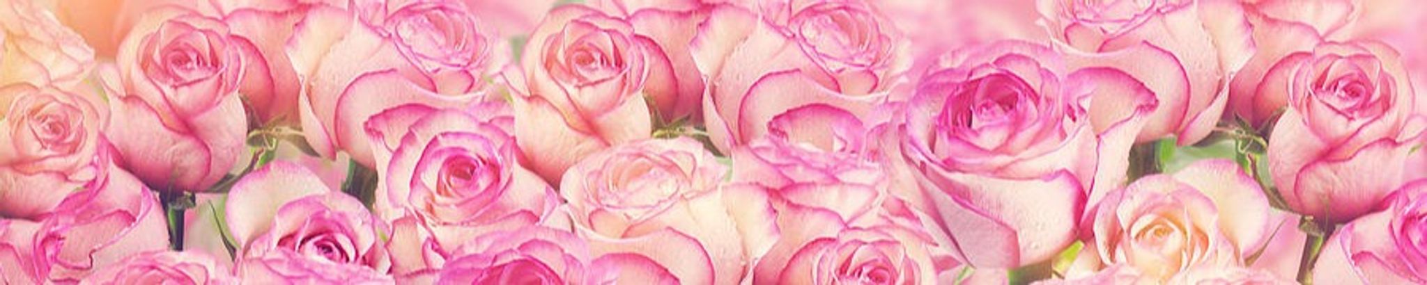 Cover for Cora Jones's Obituary