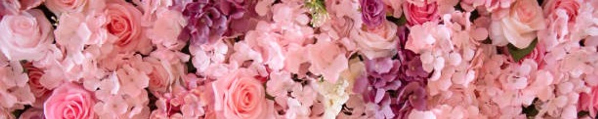 Cover photo for Anna Cieri's Obituary