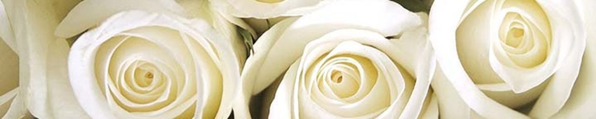 Cover photo for Irlanda Garcia Gomez's Obituary
