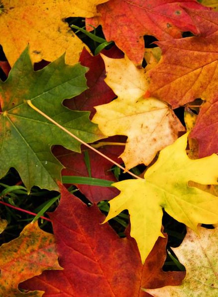 Gary Allen Peacemaker Profile Photo