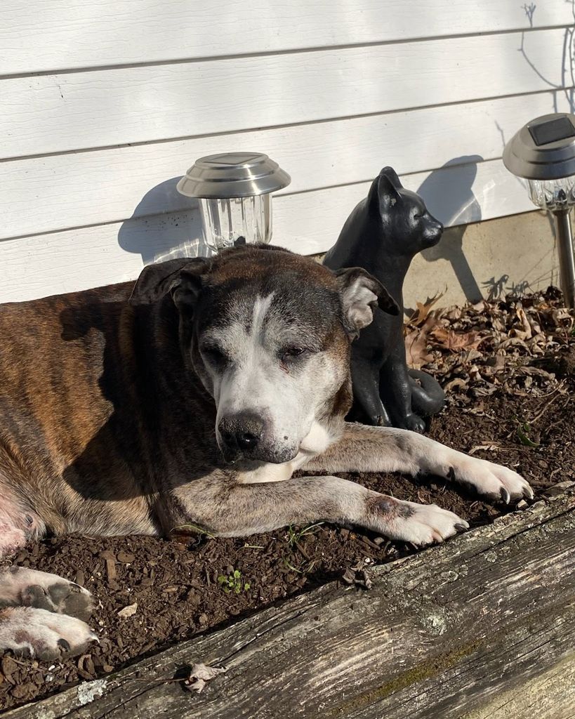 Scrappy Steinborn Profile Photo