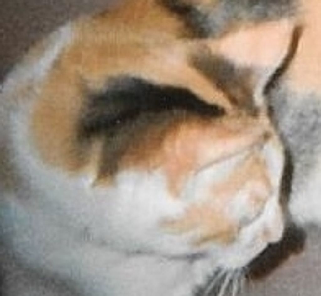 Candy "Pretty Kitty" Bond