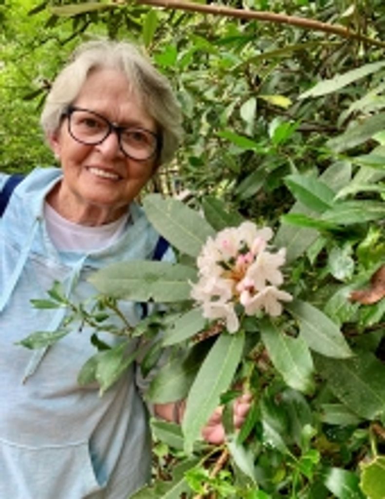 Sally  Jo Hicks Profile Photo