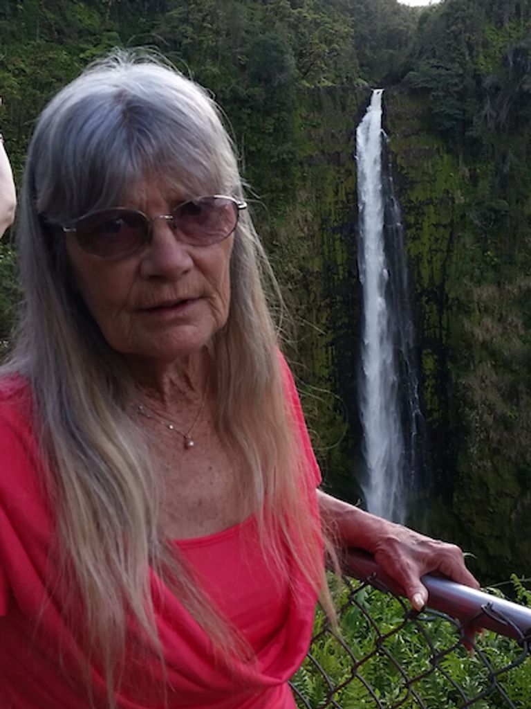 Janet Sue Beck Profile Photo