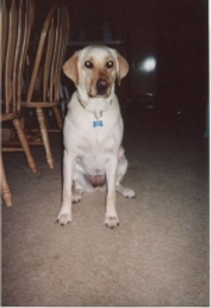 Sassy Robere Profile Photo