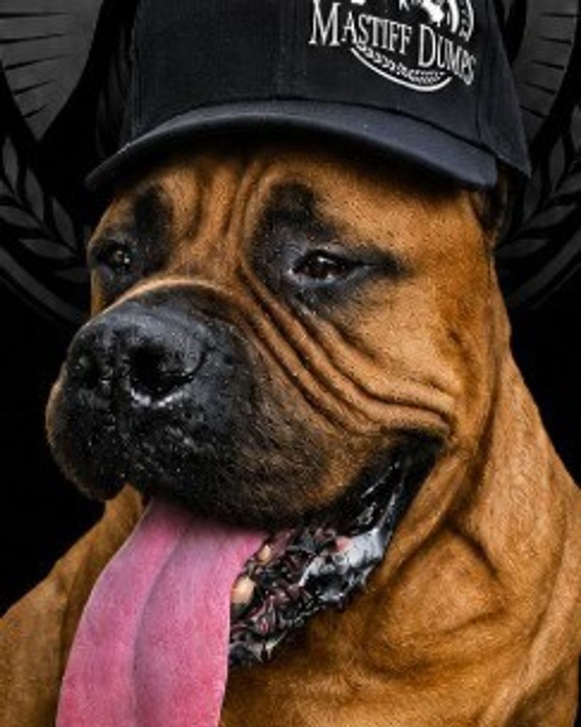 Cedes Barroso Profile Photo