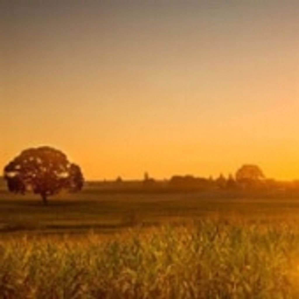 Norman Ashley Mcdonald