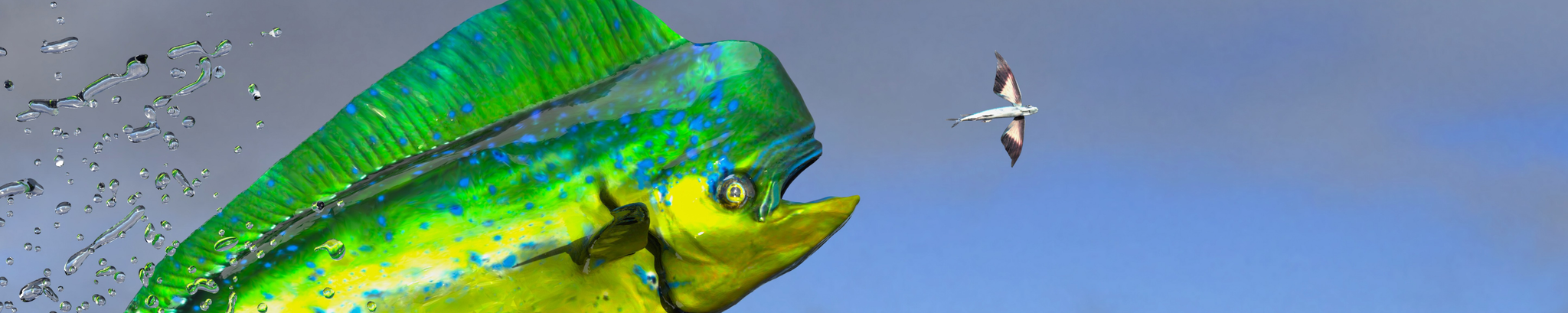 Cover for Roy Stover's Obituary