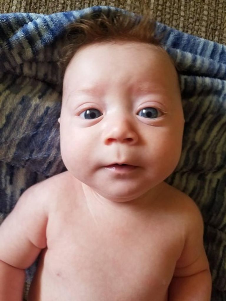 Luca Kai Harris Profile Photo